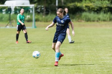 Bild 145 - F VfL Pinneberg - GW Eimsbuettel4 : Ergebnis: 9:0